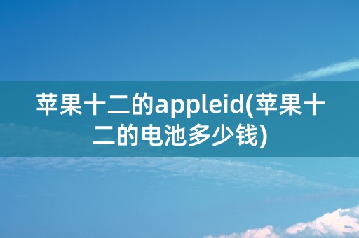 苹果十二的appleid(苹果十二的电池多少钱)