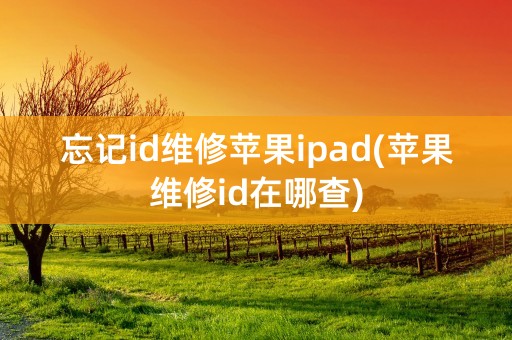 忘记id维修苹果ipad(苹果维修id在哪查)