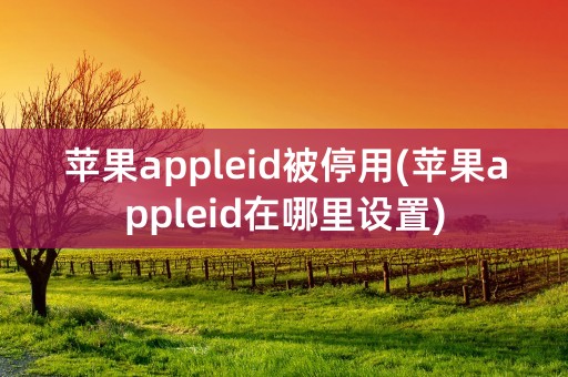 苹果appleid被停用(苹果appleid在哪里设置)