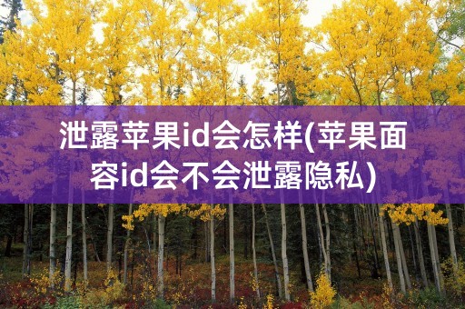 泄露苹果id会怎样(苹果面容id会不会泄露隐私)