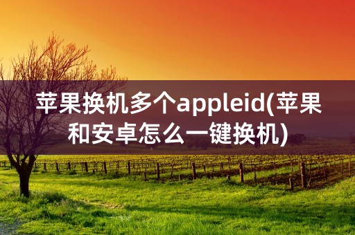 苹果换机多个appleid(苹果和安卓怎么一键换机)