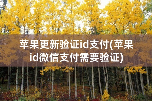 苹果更新验证id支付(苹果id微信支付需要验证)