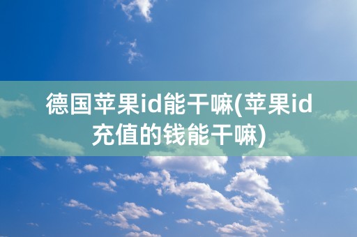 德国苹果id能干嘛(苹果id充值的钱能干嘛)