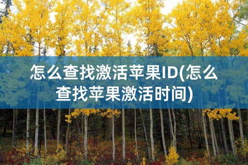 怎么查找激活苹果ID(怎么查找苹果激活时间)