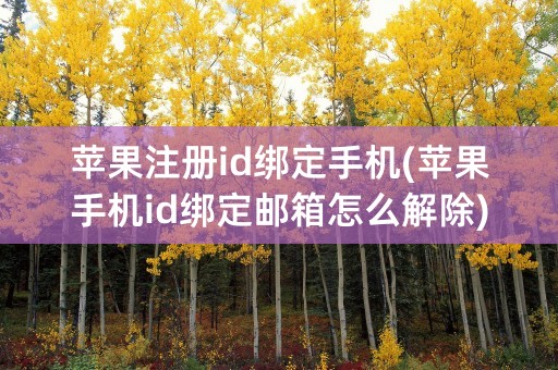 苹果注册id绑定手机(苹果手机id绑定邮箱怎么解除)