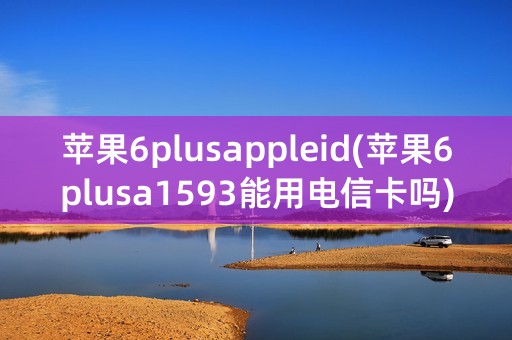 苹果6plusappleid(苹果6plusa1593能用电信卡吗)