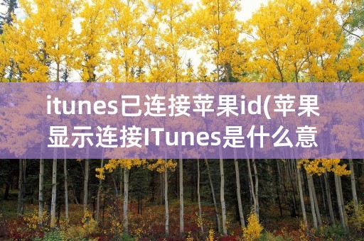 itunes已连接苹果id(苹果显示连接ITunes是什么意思)