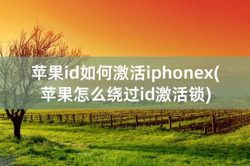 苹果id如何激活iphonex(苹果怎么绕过id激活锁)