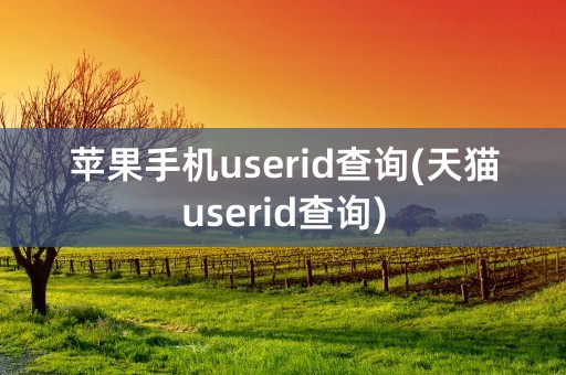 苹果手机userid查询(天猫userid查询)