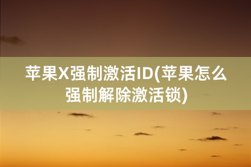 苹果X强制激活ID(苹果怎么强制解除激活锁)