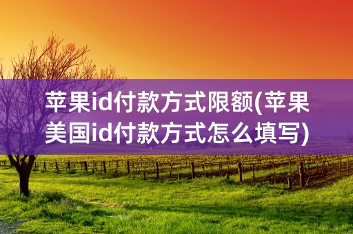 苹果id付款方式限额(苹果美国id付款方式怎么填写)