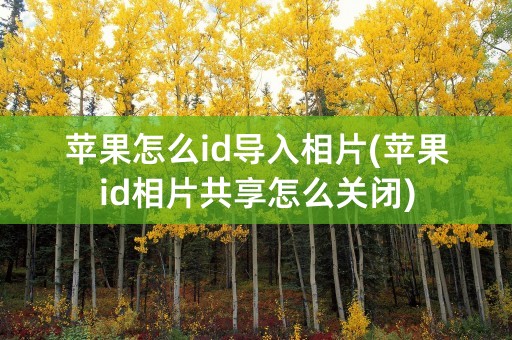 苹果怎么id导入相片(苹果id相片共享怎么关闭)