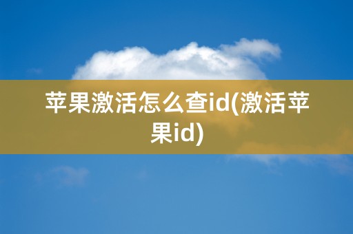 苹果激活怎么查id(激活苹果id)