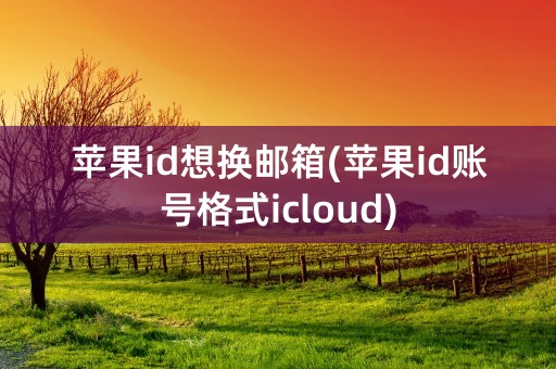 苹果id想换邮箱(苹果id账号格式icloud)