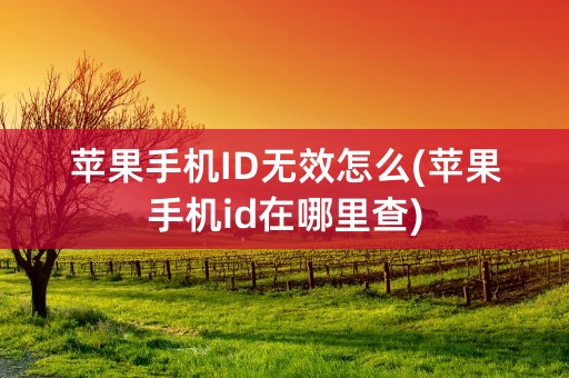 苹果手机ID无效怎么(苹果手机id在哪里查)