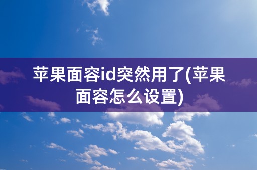 苹果面容id突然用了(苹果面容怎么设置)