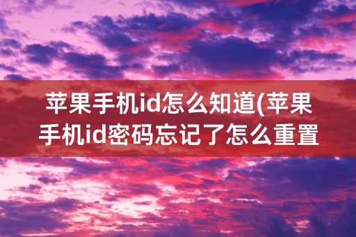 苹果手机id怎么知道(苹果手机id密码忘记了怎么重置)