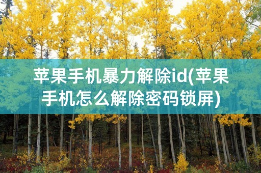 苹果手机暴力解除id(苹果手机怎么解除密码锁屏)