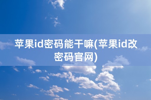 苹果id密码能干嘛(苹果id改密码官网)