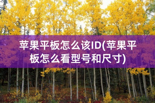 苹果平板怎么该ID(苹果平板怎么看型号和尺寸)