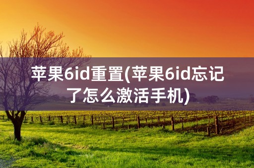 苹果6id重置(苹果6id忘记了怎么激活手机)