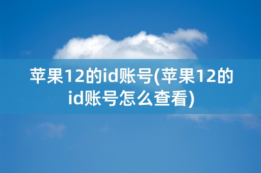 苹果12的id账号(苹果12的id账号怎么查看)