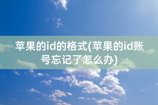 苹果的id的格式(苹果的id账号忘记了怎么办)