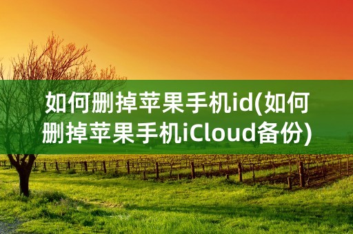 如何删掉苹果手机id(如何删掉苹果手机iCloud备份)