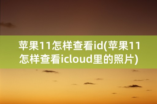 苹果11怎样查看id(苹果11怎样查看icloud里的照片)