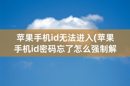 苹果手机id无法进入(苹果手机id密码忘了怎么强制解除)