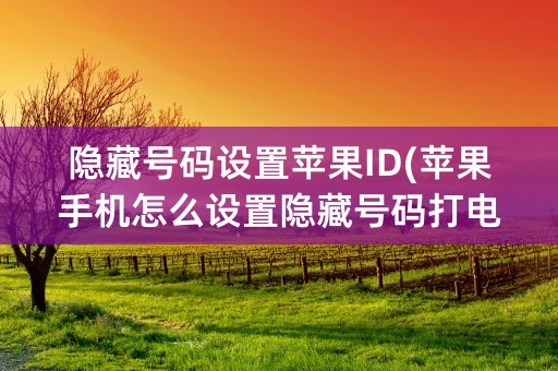 隐藏号码设置苹果ID(苹果手机怎么设置隐藏号码打电话)