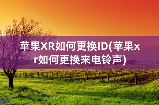 苹果XR如何更换ID(苹果xr如何更换来电铃声)