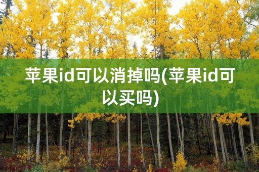 苹果id可以消掉吗(苹果id可以买吗)