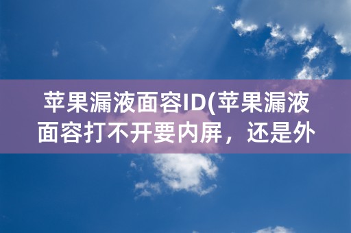 苹果漏液面容ID(苹果漏液面容打不开要内屏，还是外屏)