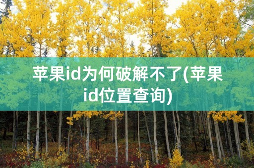 苹果id为何破解不了(苹果id位置查询)