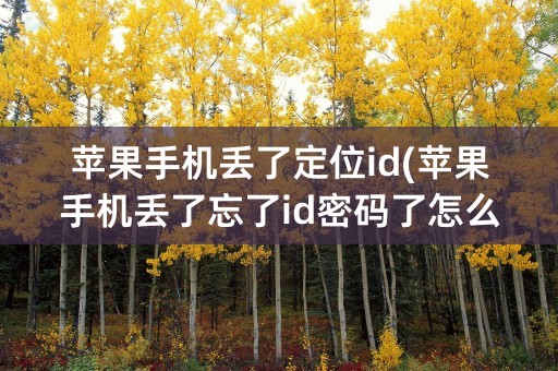 苹果手机丢了定位id(苹果手机丢了忘了id密码了怎么办)