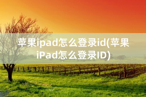 苹果ipad怎么登录id(苹果iPad怎么登录ID)