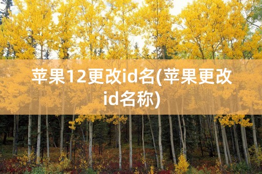 苹果12更改id名(苹果更改id名称)