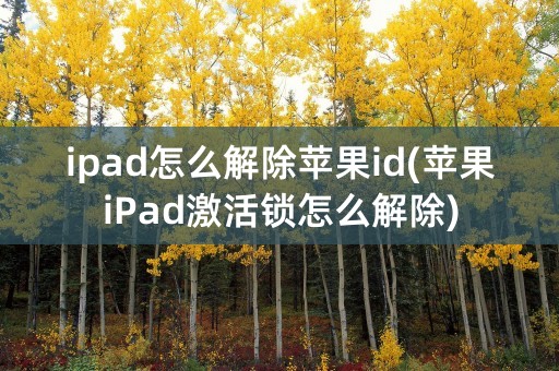 ipad怎么解除苹果id(苹果iPad激活锁怎么解除)