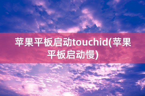 苹果平板启动touchid(苹果平板启动慢)