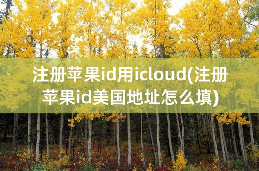 注册苹果id用icloud(注册苹果id美国地址怎么填)