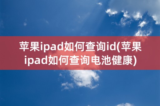 苹果ipad如何查询id(苹果ipad如何查询电池健康)