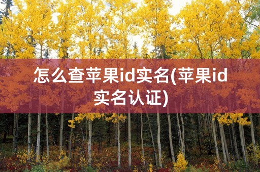 怎么查苹果id实名(苹果id实名认证)