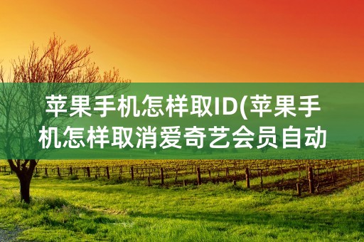 苹果手机怎样取ID(苹果手机怎样取消爱奇艺会员自动续费)