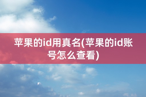 苹果的id用真名(苹果的id账号怎么查看)