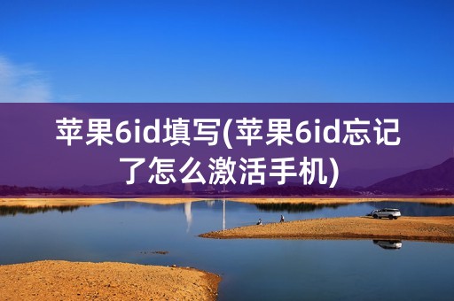 苹果6id填写(苹果6id忘记了怎么激活手机)