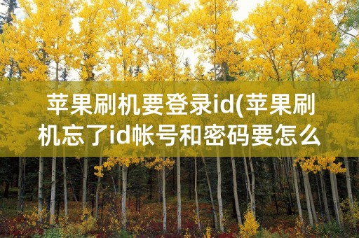 苹果刷机要登录id(苹果刷机忘了id帐号和密码要怎么解决)