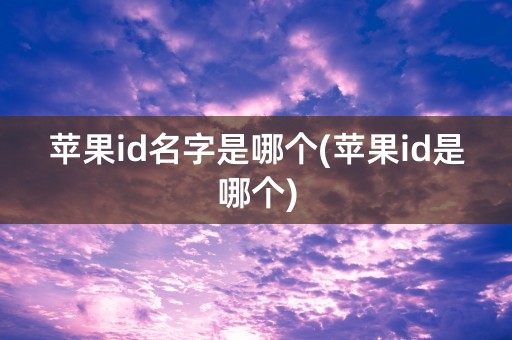 苹果id名字是哪个(苹果id是哪个)