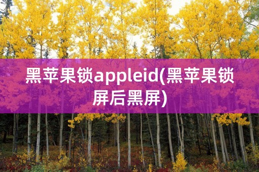 黑苹果锁appleid(黑苹果锁屏后黑屏)