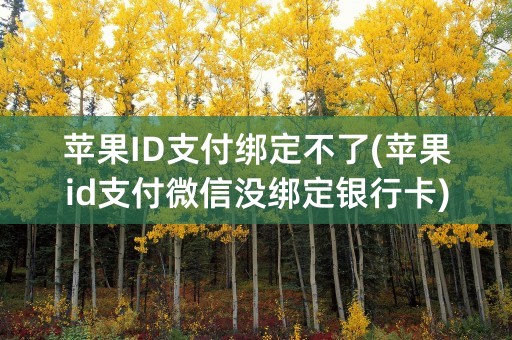 苹果ID支付绑定不了(苹果id支付微信没绑定银行卡)